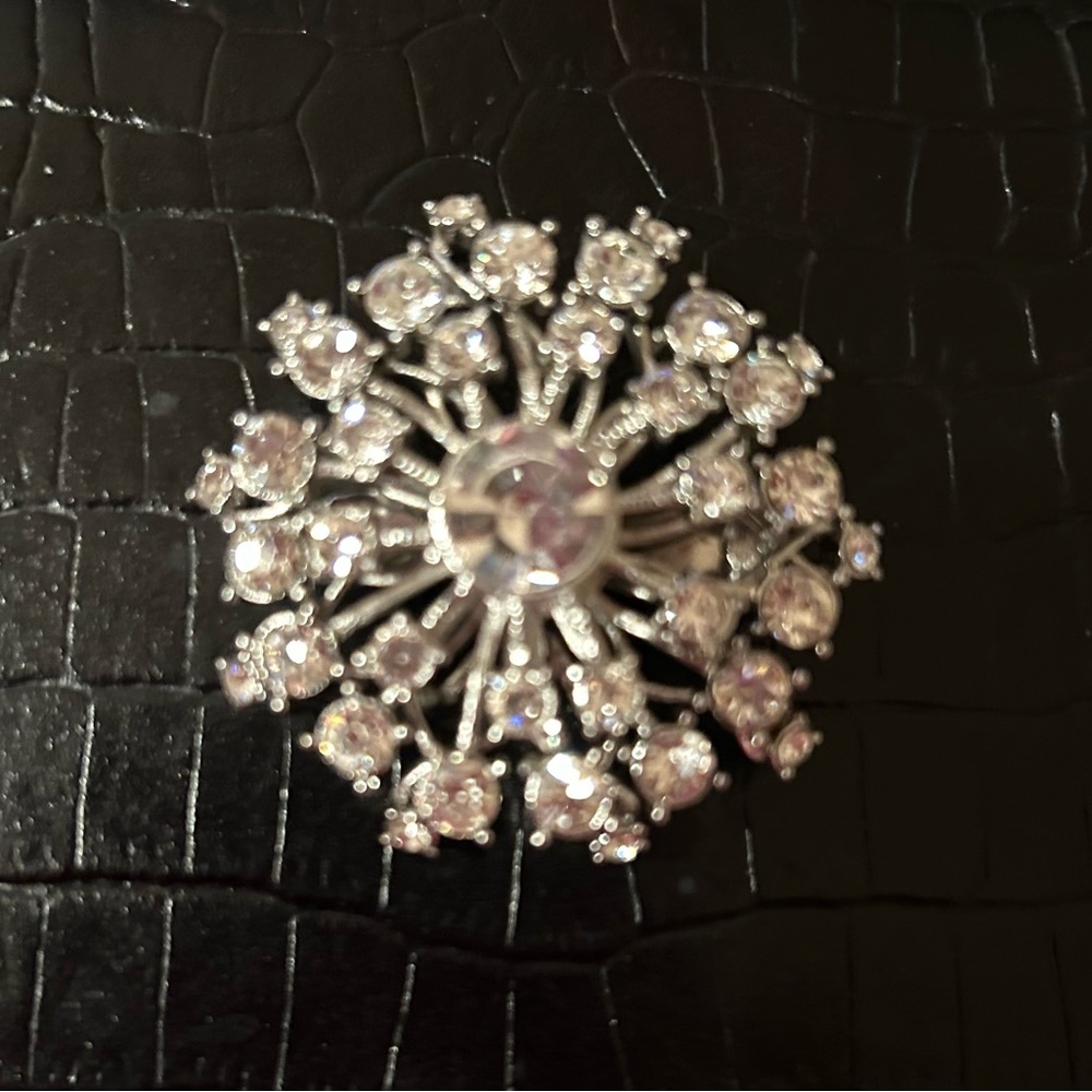 Banana Republic Silver and White Crystal Brooch